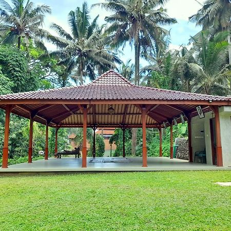 As I Am Ubud Retreat Екстериор снимка