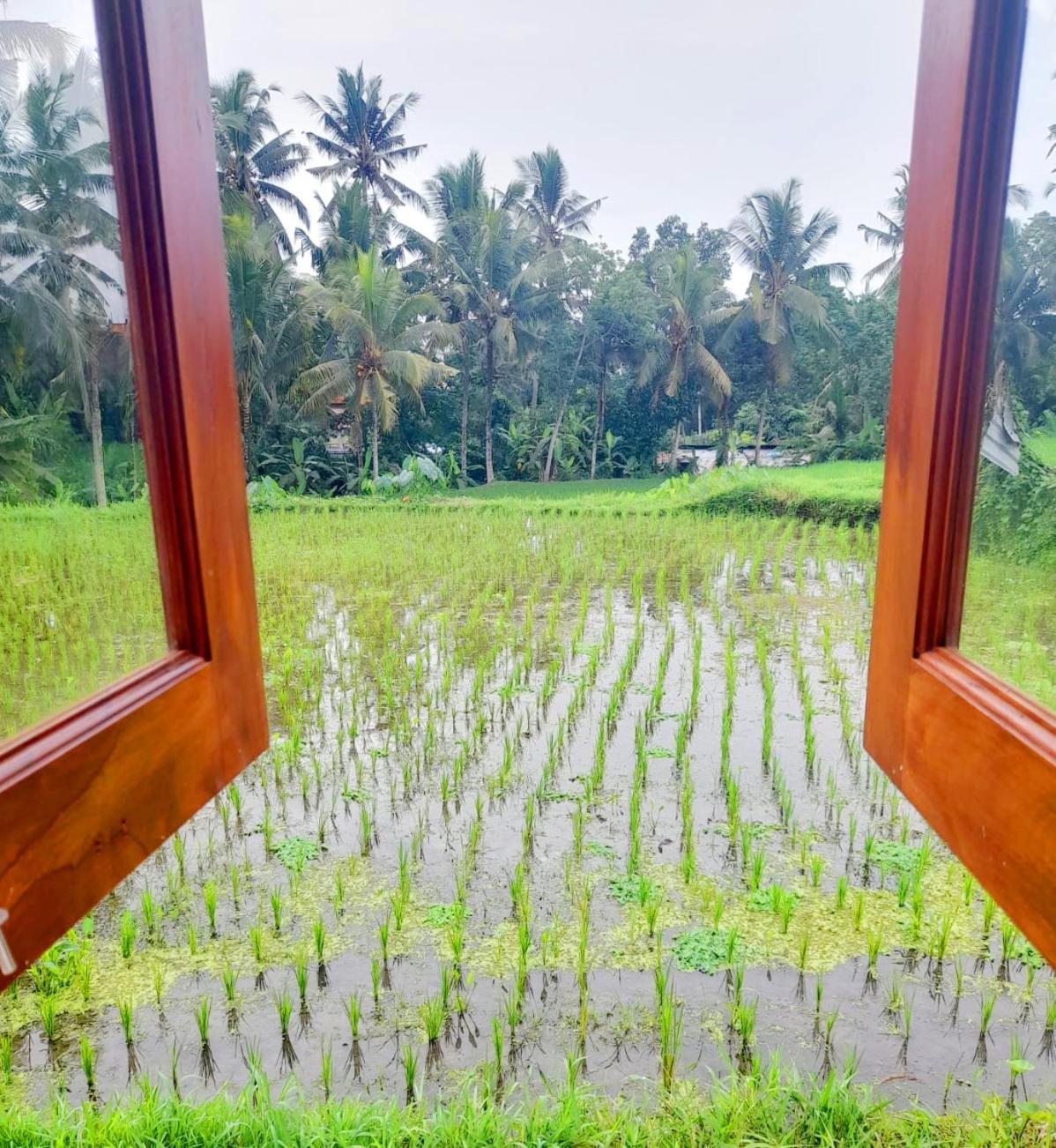 As I Am Ubud Retreat Стая снимка