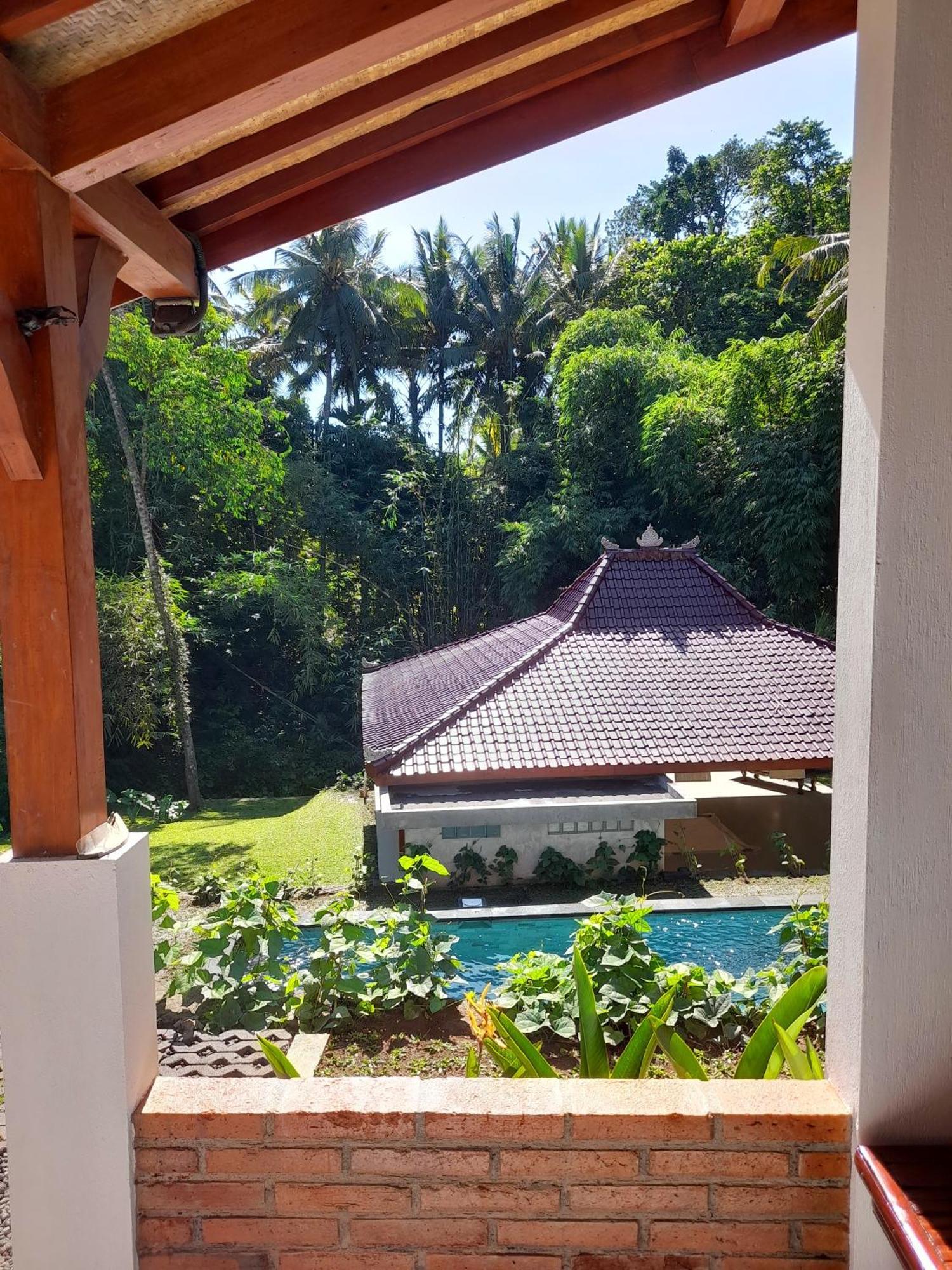 As I Am Ubud Retreat Екстериор снимка